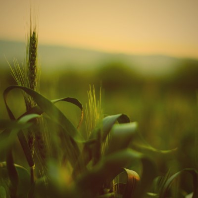 1920 x 1080 HD Wallpapers 2233